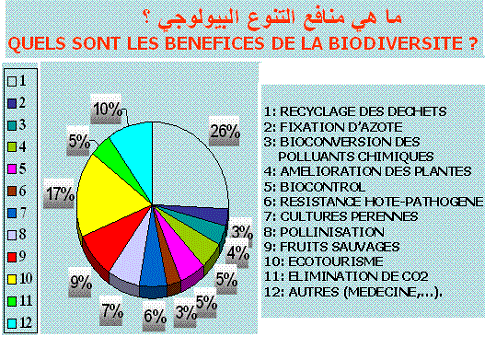 Biodiversité, diversité génétique