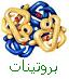 prot&eacute;ines, enzymes. structure