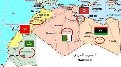 Maghreb. Charançon