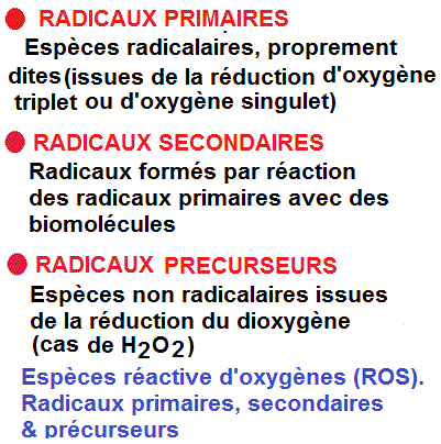 ROS radicaux libres. Types