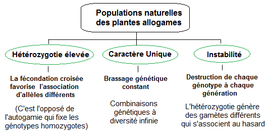populations naturelles des allogamous