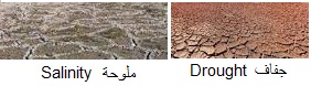 salinité, aridité