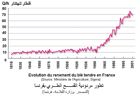 blé tendre. Rendement