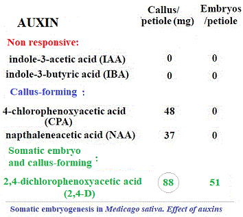 Auxin types