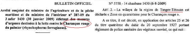 Rhynchophorus ferrugineus. Bulletin officiel
