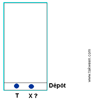 chromatographie