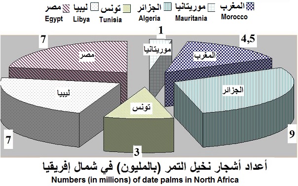 Maghreb
