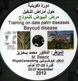 Date palm training