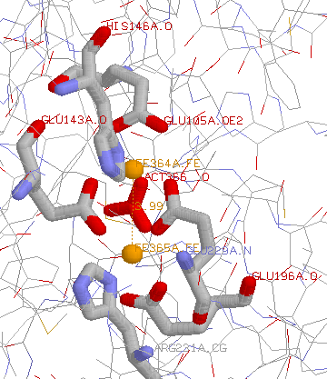 enzyme de désaturation. Site actif