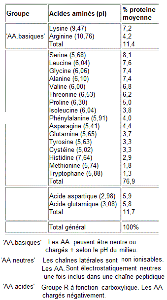 acides aminés