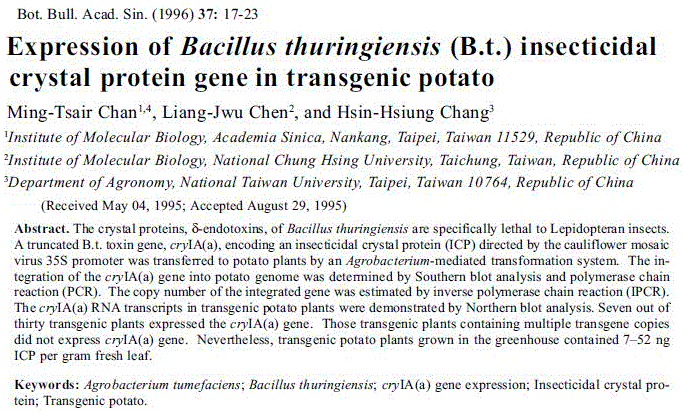 Transgenic potato article