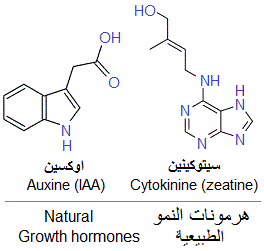 growth hormones, auxines, cytokinines
