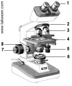 Microscope