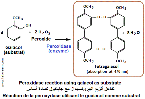 peroxidase reaction