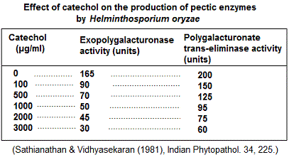 Catechol effect