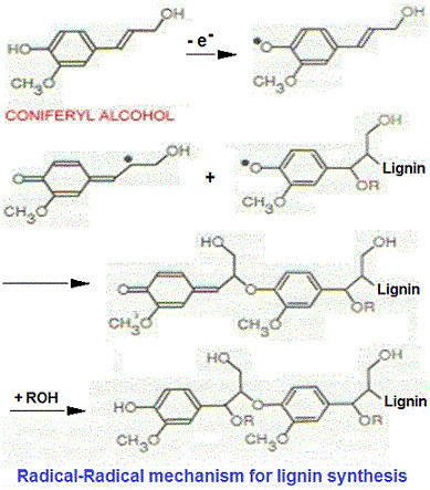 Lignin
