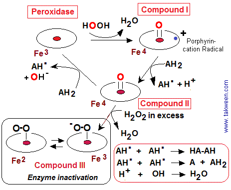 POX Composés