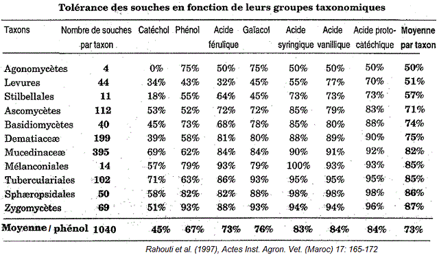 Champignons-phenols. Interaction