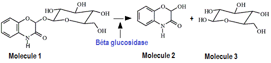 Toxic molecules
