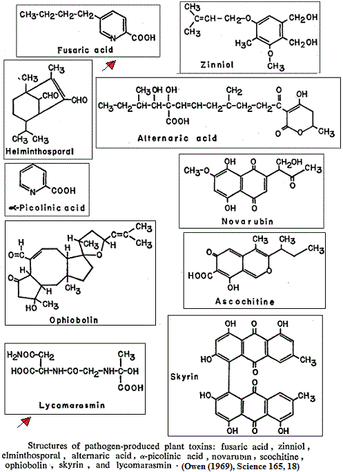 pathogen-produced plant toxins