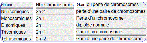 stock chromosomique