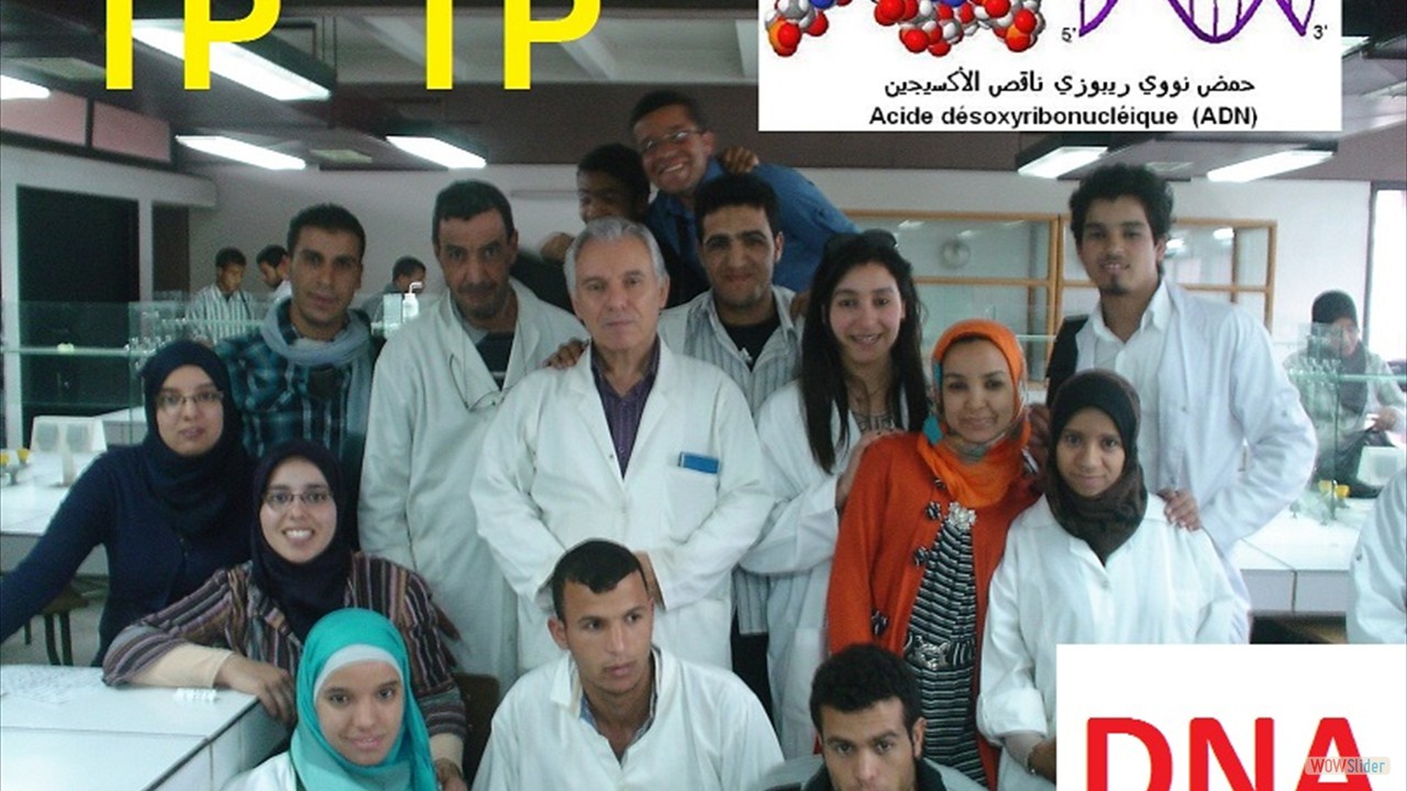 10-molecular-biology-training-1